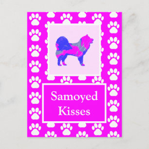 Samoyed Kisses Silhouette in Cute Pink & Blue Postcard