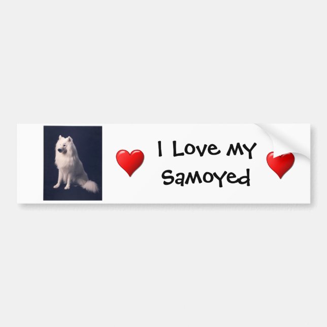 Samoyed Love Bumper Sticker (Front)