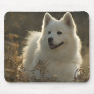 Samoyed Mouse Pad