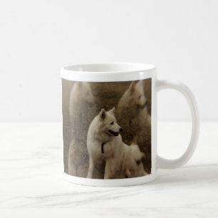 Samoyed multi-image, Samoyed multi-image Coffee Mug