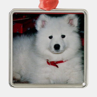 Samoyed Ornament