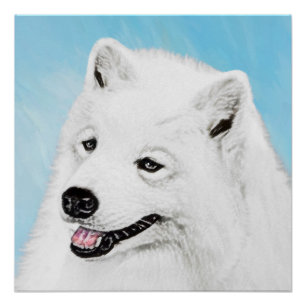 Samoyed Painting - Cute Original Dog Art Poster