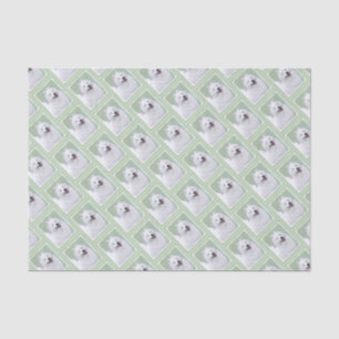 Samoyed Painting - Cute Original Dog Art Tissue Paper