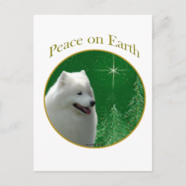 Samoyed Peace Postcard (Front)