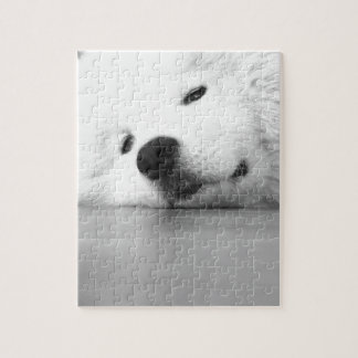 Samoyed Photo Dog White Jigsaw Puzzle
