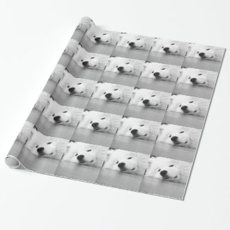 Samoyed Photo Dog White Wrapping Paper