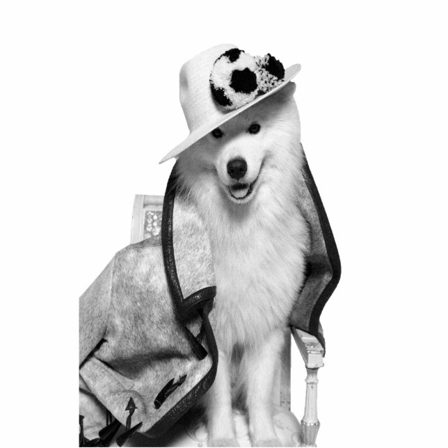 Samoyed Plv Standee Standing Photo Sculpture (Front)