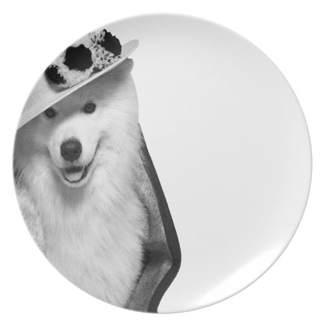 Samoyed Punt Plate (Front)