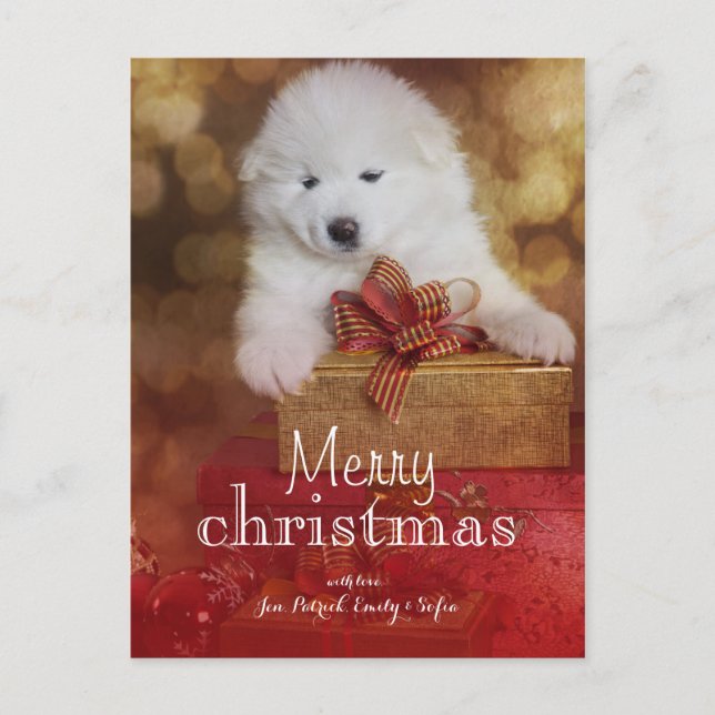 Samoyed Puppy Dog With Christmas Gifts Holiday Postcard (Front)