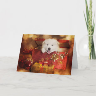 Samoyed Puppy In A Christmas Box Holiday Card