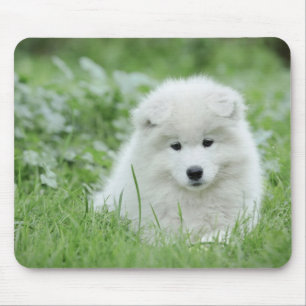Samoyed puppy mouse mat