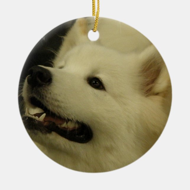 Samoyed Puppy Ornament (Front)