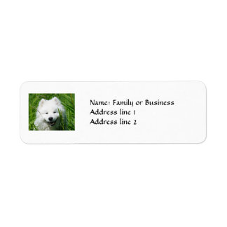 Samoyed Return Address Labels