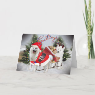 Samoyed Santa and Helper Greetings Holiday Card