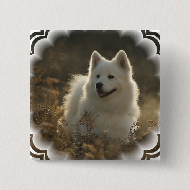 Samoyed Square Pin (Front)