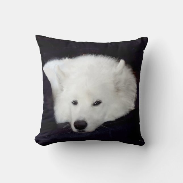 Samoyed Throw Pillow:Choice of Material, Colour Cushion (Front)