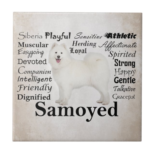 Samoyed Traits Ceramic Tile (Front)
