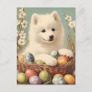 Samoyed Vintage easter Postcard