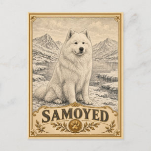 Samoyed, Vintage Heritage Dog Postcard