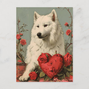 Samoyed Vintage Valentine's day  Postcard