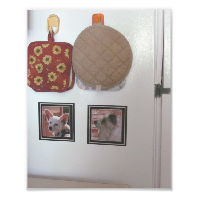 Sample Fridge magnets Photo Print (Front)