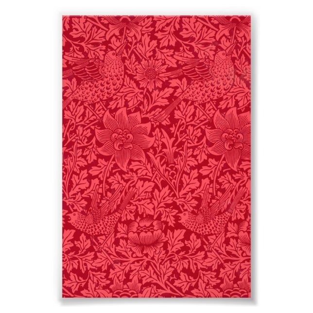 Sample of Bird, Anemone Wallpaper by Morris Photo Print (Front)