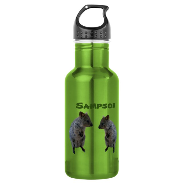 Sampson Name With Aussie Quokkas, Water Bottle (Front)