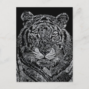 Samson Postcard