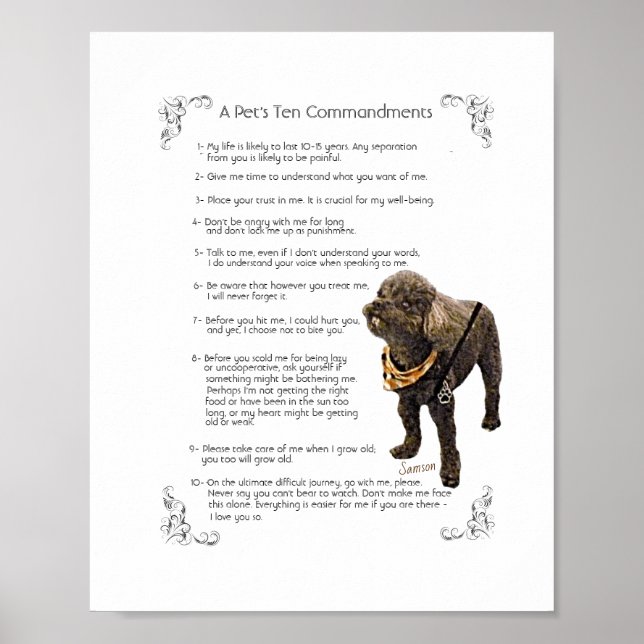 SAMSON  -    Poster (Front)