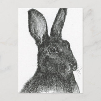 Samuel L Jackson Postcard