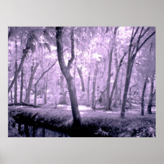 Samurai Forest Poster