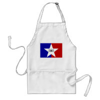 San Antonio Flag