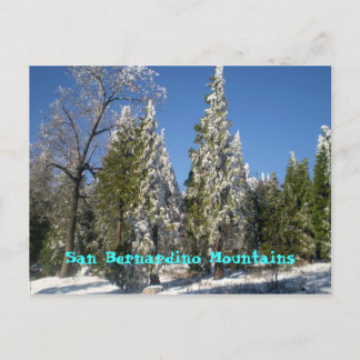 San Bernardino Mountains Postcard