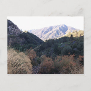 San Bernardino Mountains Postcard