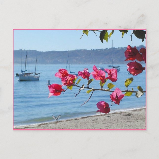 san diego beach postcard (Front)