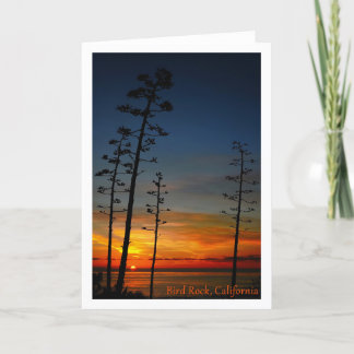 SAN DIEGO Bird Rock sunset agave trees Thank You Card