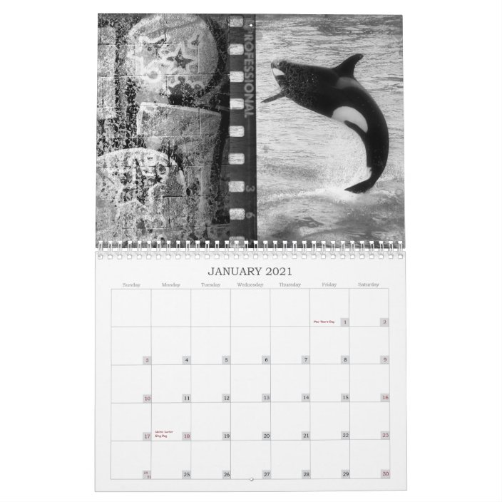 San Diego Calendar Zazzle co uk
