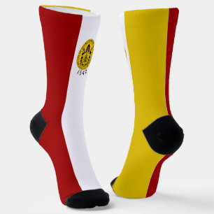 San Diego (California) city flag Socks