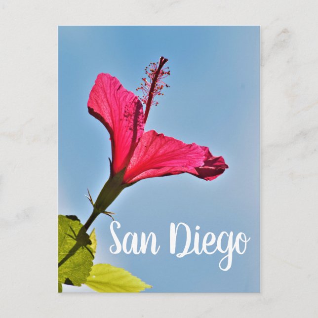 San Diego Hibiscus Holiday Postcard (Front)