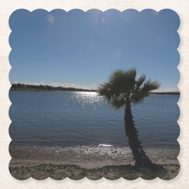 San Diego Palm Tree Paper Coaster (Front)