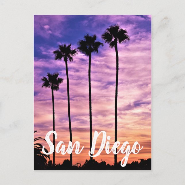 San Diego Palm Tree Sunset Holiday Postcard (Front)