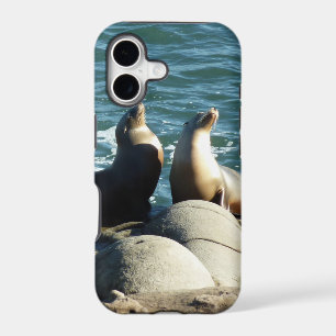 San Diego Sea Lions
