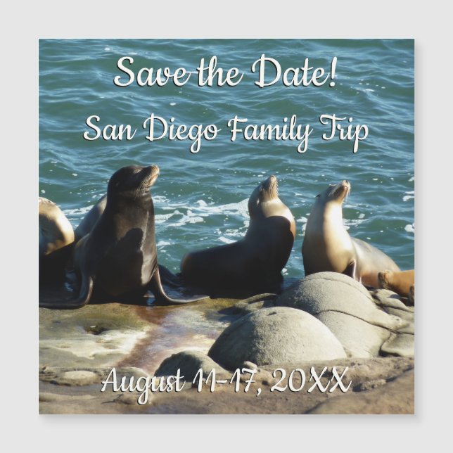 San Diego Sea Lions (Front)