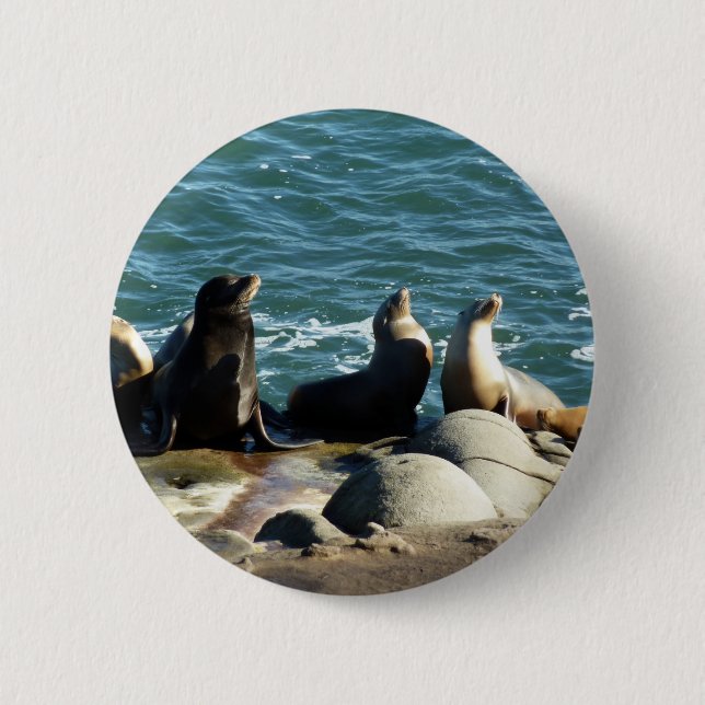 San Diego Sea Lions 6 Cm Round Badge (Front)
