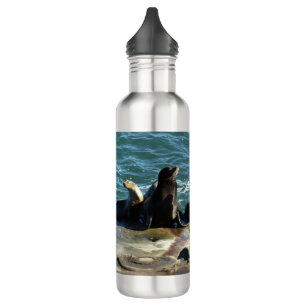 San Diego Sea Lions 710 Ml Water Bottle