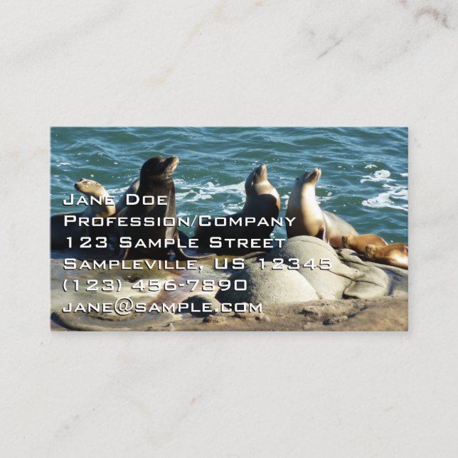 San Diego Sea Lions Business Card (Front)
