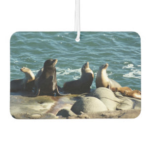 San Diego Sea Lions Car Air Freshener
