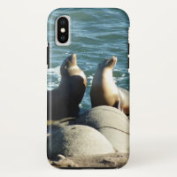 San Diego Sea Lions
