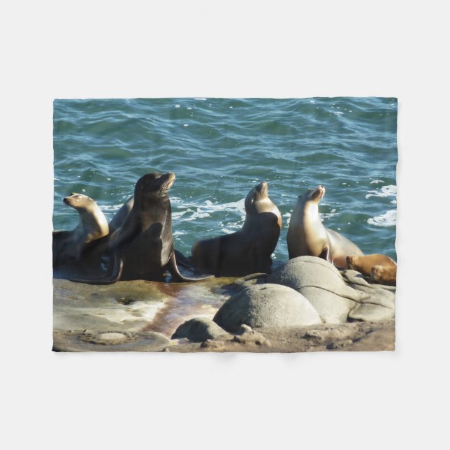 San Diego Sea Lions Fleece Blanket (Front (Horizontal))