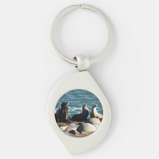 San Diego Sea Lions Key Ring (Front)